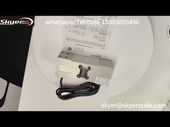 Komórki czujników obciążenia ZEMIC L6G o masie 500 kg do wag platformy ciężarowej