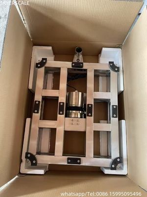 jakość  Digital Weighing Machine Waterproof 400x500 mm 300kg  Platform Bench Scale fabryka