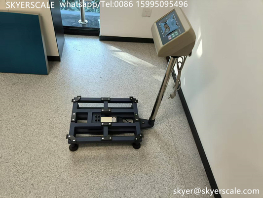 300kg platformy ławki Skala połączyć komputer z Rs232