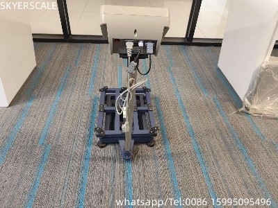 Platforma Elektroniczna Waga Waga Ekonomiczna Waga 300kg