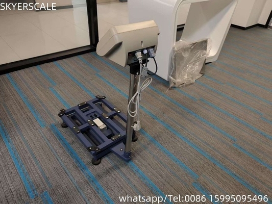 Platforma Elektroniczna Waga Waga Ekonomiczna Waga 300kg