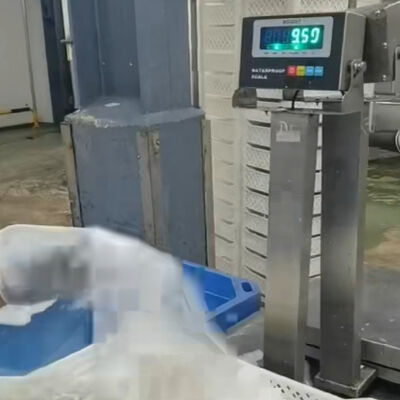 Waga ławowa 30x40cm, wodoodporna, ze stali nierdzewnej 304   100kg